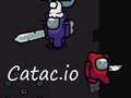 Spel Catac.io