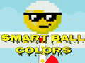 Spel Smart Ball Colors