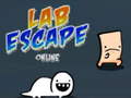 Spel Lab Escape Online