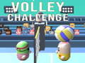 Spel Volley Challenge