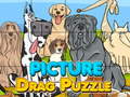 Spel Picture Drag Puzzle