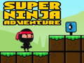 Spel Super Adventure Ninja