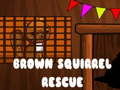 Spel Brown Squirrel Rescue