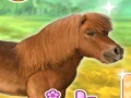 Spel My Dear Pony
