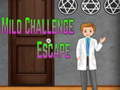 Spel Amgel Mild Challenge Escape