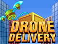 Spel Drone Delivery