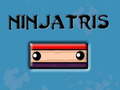 Spel Ninjatris