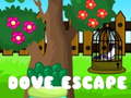 Spel Dove Escape