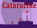 Spel Cataractae