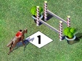 Spel Competition jump