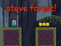 Spel Steve Forest