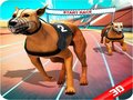 Spel Crazy Dog Race