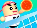 Spel 3D Amazing VolleyBall
