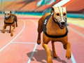 Spel Dogs3D Races