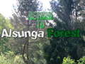 Spel Return To Alsunga Forest