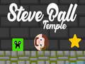 Spel Steve Ball Temple