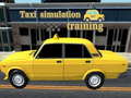 Spel Taxi simulation training
