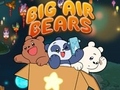 Spel Big Air Bears