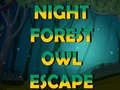 Spel Night Forest Owl Escape