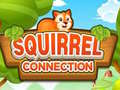 Spel Squirrel Connection