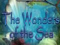 Spel New Sea Wonders