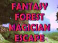 Spel Fantasy Forest Magician Escape