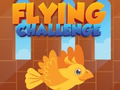 Spel Flying Challenge