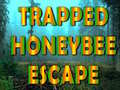 Spel Trapped Honeybee Escape