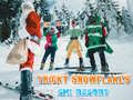 Spel Ski Resort Hidden Snowflakes