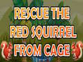 Spel Rescue The Red Squirrel From Cage