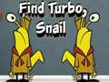 Spel Find Turbo Snail