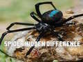 Spel Spider Hidden Difference