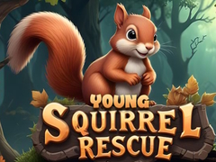 Spel Young Squirrel Rescue