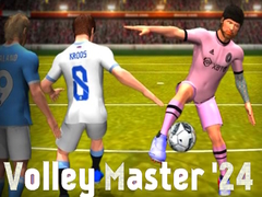 Spel Volley Master '24