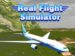 Spel Real Flight Simulator 