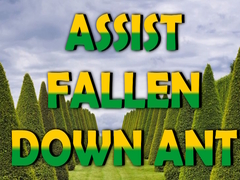 Spel  Assist Fallen Down Ant