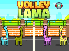 Spel Volley Lama