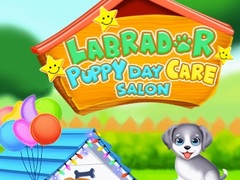 Spel Labrador Puppy Daycare Salon