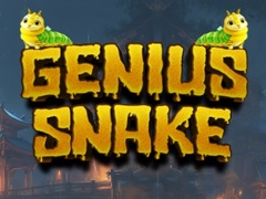 Spel Genius Snake