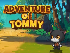 Spel Advanture Of Tommy