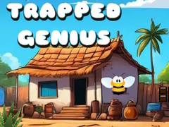 Spel Trapped Genius