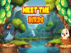 Spel Meet The Birds 