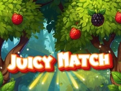 Spel Juicy Match