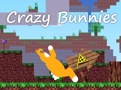 Spel Crazy Bunnies