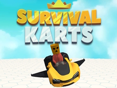 Spel Survival Karts