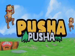 Spel Pusha Pusha