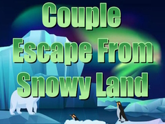 Spel Couple Escape from Snowy Land