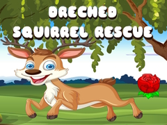 Spel Drenched Squirrel Rescue