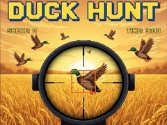 Spel Duck Hunt