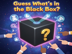 Spel Guess What's in the Black Box?